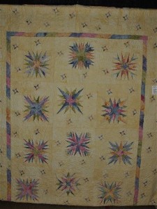 Block of the Month - Mega Paper Piecing