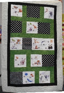 Panel for Baby Book